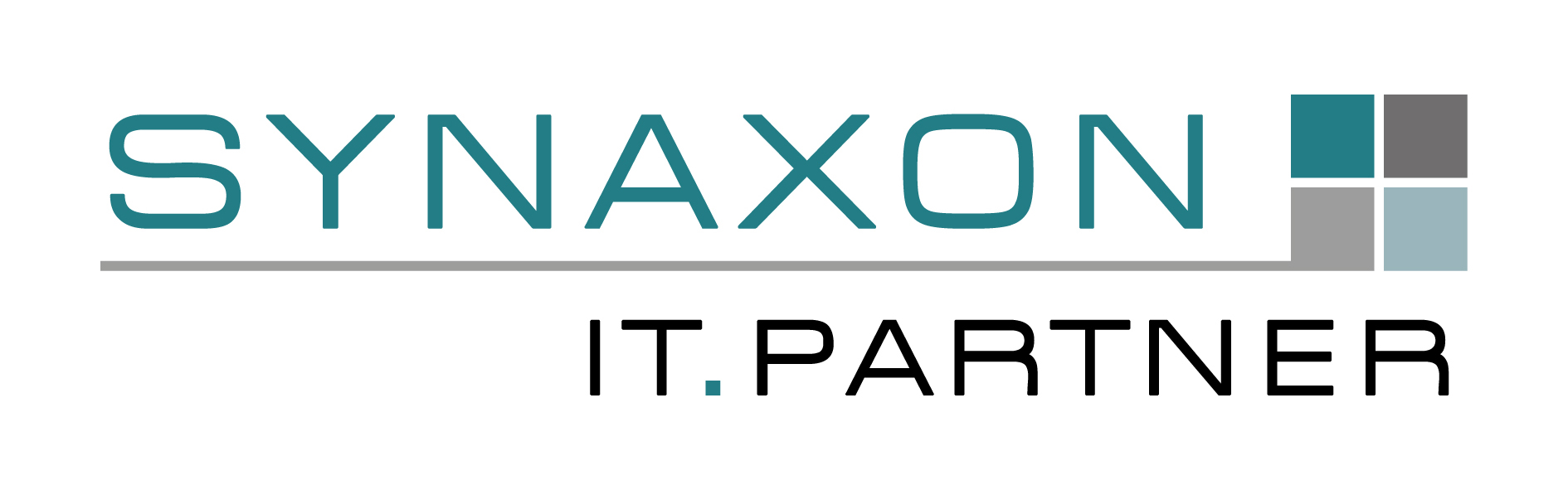 SYNAXON IT.PARTNER